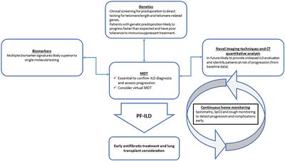 Present and future perspectives in early diagnosis and monitoring for progressive fibrosing interstitial lung diseases